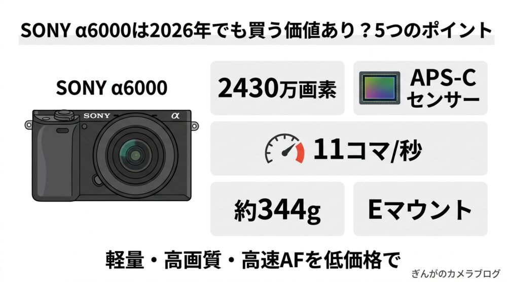 SONY α6000の買う価値があるかどうかの図。画素数、センサーサイズ、マウント、重量を表示。