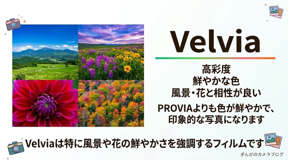 FUJIFILM Velviaの特徴|高彩度で鮮やかな色表現と風景撮影への適性