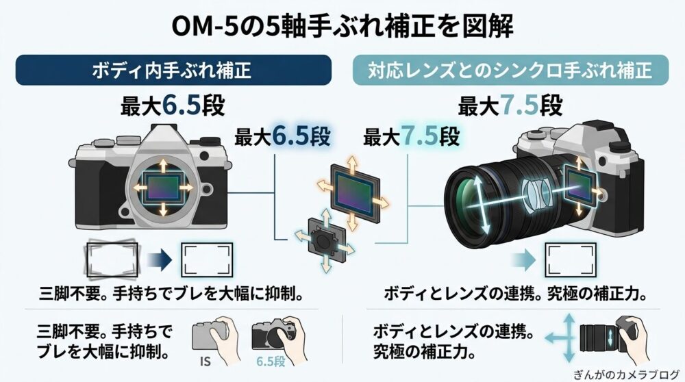 OM SYSTEM OM-5の5軸手ぶれ補正｜最大6.5段・シンクロ時最大7.5段を図解