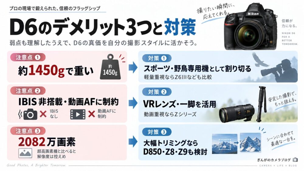Nikon D6の重さやIBIS非搭載、2082万画素というデメリットと対策