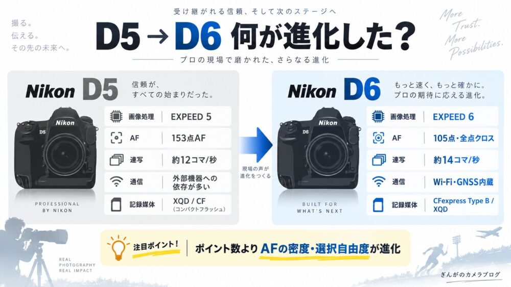 Nikon D5からD6で進化したAFや連写、通信機能を比較した図