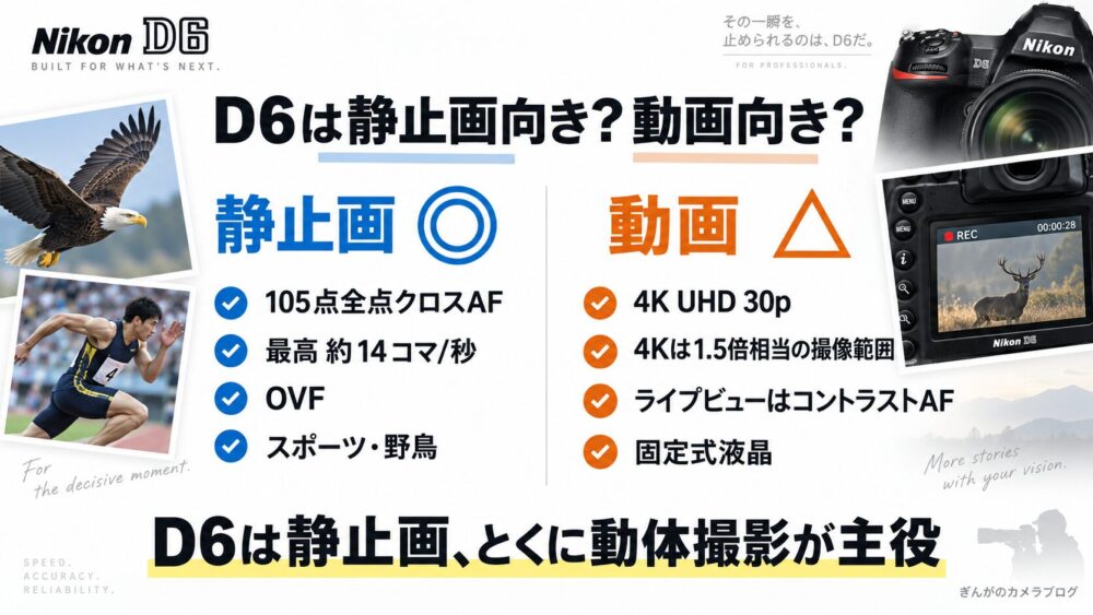 Nikon D6の静止画性能と4K動画性能を比較した図